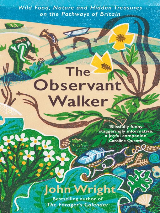 Title details for The Observant Walker by John Wright - Available